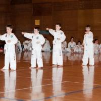 Img 4279