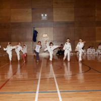 Img 4281